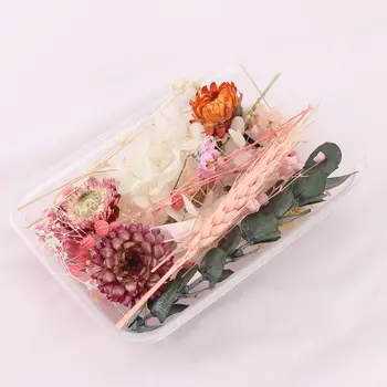 1 Cutie Amestec de Flori Uscate de Rășină Bijuterii Plante Uscate, Presate Flori Face Ambarcațiuni DIY Accesorii de Culoare Aleatorii de Livrare