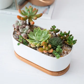 Minimalist, Simplu, Alb Creative Desktop Ceramica Alba Ghiveci Cu Tava De Bambus Suculente Oală De Plante Cactus Ghiveci Ghiveci