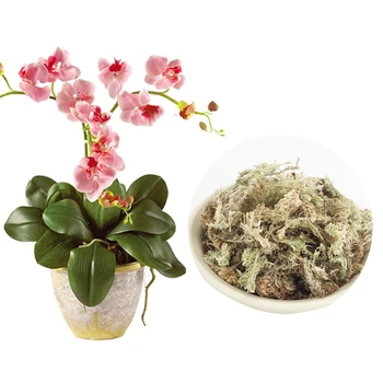 6L Sphagnum Moss Grădină Consumabile Durabile Pentru Orhidee Îngrășământ Organic Acasă