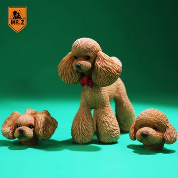 1/6 Scară Domnul Z 053 Teddy Pudel Câine simulare pe model animal de Jucărie Pentru 12
