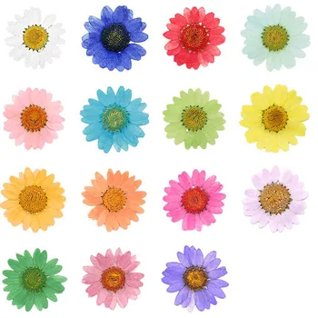 120pcs 2.5-3cm Presate Uscat Crizantema Paludosum Flori Pentru Bijuterii Caz de Telefon Abajur Lumânare Marcaj carte Poștală Ambarcațiuni DIY