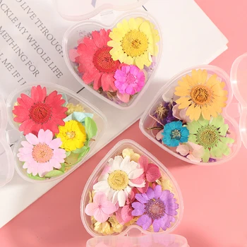 1 Cutie de Acasă Mini Flores Flori Flori Presate Mici Flori Uscate Zces Scrapbooking Uscat DIY Conserve de Flori Decor