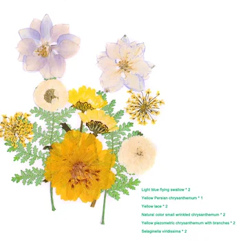 Presat de Flori Amestecat Flori Uscate DIY Arta Florale, Decoruri Colectia de Cadouri de Artizanat DIY TN88