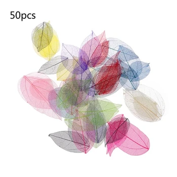 50 Buc Amestecat Culori Naturale Schelet Frunze Presate Flori pentru a Face Bijuterii