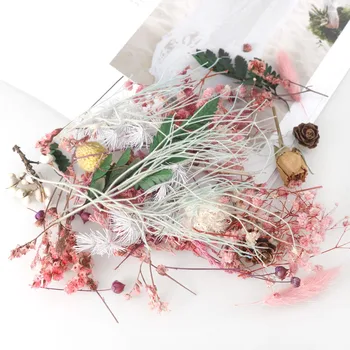 1 Punga de Amestec de Flori Uscate de Rășină Bijuterii Plante Uscate, Flori Presate Face Ambarcațiuni DIY Rama Foto Accesorii