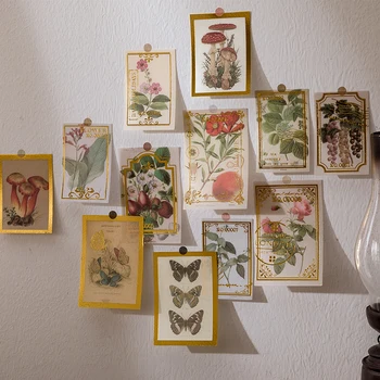 Dimi 60 Buc Grădină Poem Serie Washi Hârtie Autocolante Pentru Ambarcațiunile De Plante Fluture Deco Album De Telefon Album Decalcomanii De Papetărie