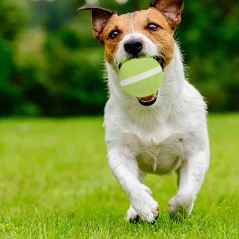 Câinele Electric Mingea animale de Companie Jucărie Inteligentă USD Taxa Intermitent Mingea Câine Interactive Mingea