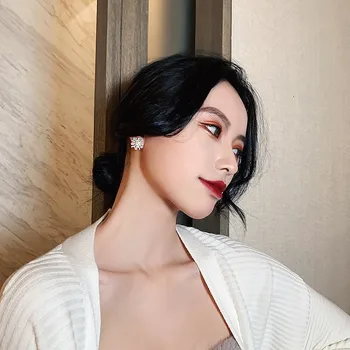 Fata dulce Cercei Moda coreeană Nou Temperament Cercei Sălbatice Net Red Pearl Cristal Cercei pentru Femei en-Gros Oorbellen