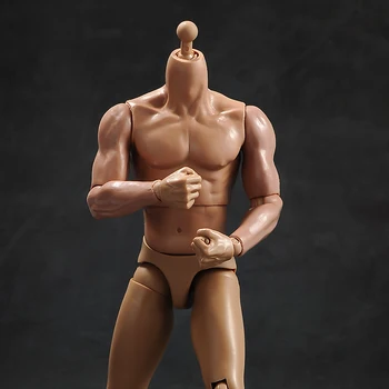 1/6 corp de sex Masculin musculare de tip cu gât versiune TQ230for 12 inch acțiune figura corp accesorii