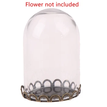 Cupolă de sticlă de Afișare Lemn de Plută Clopot de sticlă Acoperi Cloche Display Cu Baza din Lemn Inaltime 3cm Masă Decoation Ambarcațiuni