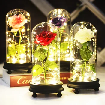 Frumoasa Si ia Trandafiri Rosii, Flori Artificiale de Lumină LED În Cupolă de Sticlă Decor Nunta Valentine Romantic Femeie Idee de Cadou