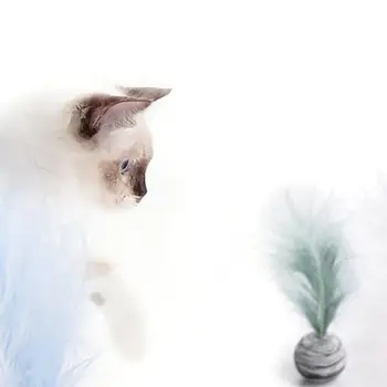 Jucarie pisica Minge de Stele, Plus Pene EVA Material Amuzant Interactive Jucărie de Pluș Stick Pene Bagheta de Lumina Spumă Aruncarea Mingii de Jucărie Consumabile