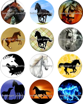 Set mixt de animale de înaltă calitate pisica, câinele, calul de sticlă fixați butonul Rotund foto cabochon sticla BP008