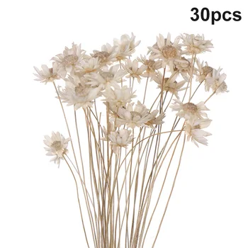 30pcs Flori Uscate Brazilian Little Star Flori Gypsophila Crizantema Art Decor DIY În Stoc
