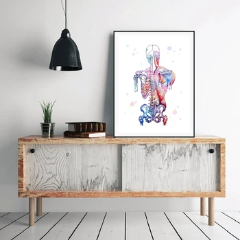 Arta panza de imprimare modular imagine musculare umane nordic poster schelet anatomie culoare pictura medical uman decor de perete