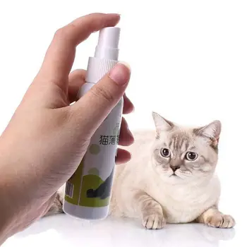 50ml Catnip Spray Pisica Emoție Jucarie Pisica Organice Naturale Zero Sănătos Inductor Catnip Amuzant Zero Jucărie
