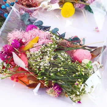 Sac de Amestec de Flori Uscate De Rășină Bijuterii, Flori Uscate DIY Cadru a Face Presat Foto Accesorii Ambarcațiuni Plante M9Z2
