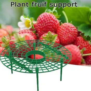 1 BUC Capsuni Sta Cadru Titular de Grădinărit Sta Planta Raft Tava Suport de Fructe de Flori Pilon Alpinism de Viță de vie de Plante
