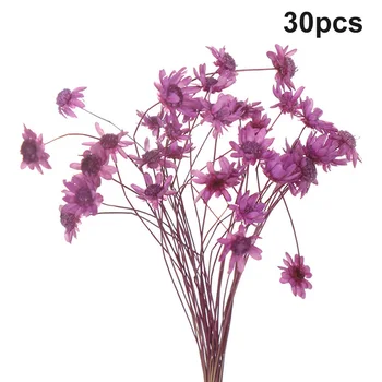 30pcs Flori Uscate Brazilian Little Star Flori Gypsophila Crizantema Art Decor DIY În Stoc