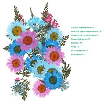 Presat de Flori Amestecat Flori Uscate DIY Arta Florale, Decoruri Colectia de Cadouri de Artizanat DIY TN88