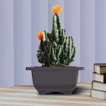 10 BUC 6.7 Inch Pătrat de Plastic Bonsai de Formare Ghivece de Flori Suculente Vase Container pentru Gradina Decorative de Interior