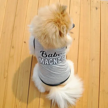 Haine de câine Scrisoare de Îmbrăcăminte pentru animale de Companie pentru Câini foarte Mici Drăguț Vesta de Imprimare de Desene animate Catelul Primavara-Vara Colorate Băiat Ropa Para Perro