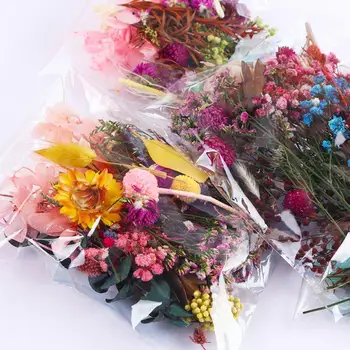 Sac de Amestec de Flori Uscate De Rășină Bijuterii, Flori Uscate DIY Cadru a Face Presat Foto Accesorii Ambarcațiuni Plante M9Z2