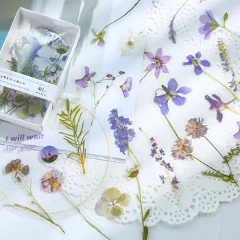 40 buc/Set Flori de Sezon de Serie Cutie Autocolant Creative 2021 Jurnalizare Materiale de Papetărie Sticker Floral Album Decorative J4W6