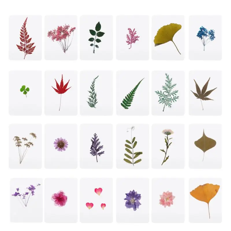 Se amestecă Floare Presată Frunze de Plante Specimen de Umplutură pentru Rășină Epoxidică de Luare de Bijuterii X6HE