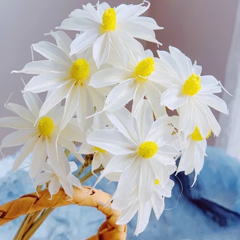 10/20 BUC Orquidea Orhidee Artificiale Pentru Decor Acasă Estetice Naturale de Flori Uscate de Masă Arta Nordică Cameră Decor Petrecere