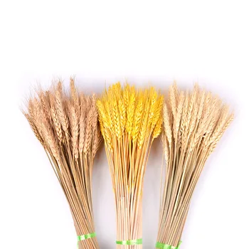 100buc Decorative Uscate de Grâu Flori Artificiale Cereale Buchet de Grâu Uscat Decor Natural de Plante Decor de Nunta Fotografie