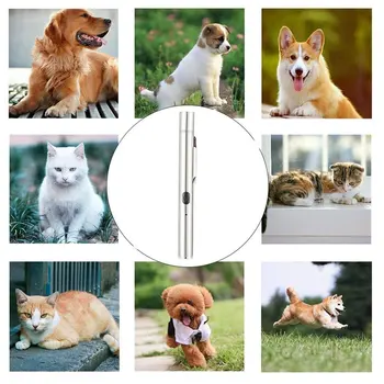 Nouă Pisică Câine Moss Lumina animale de Companie Ciuperca de Detectare USB Lampa de Exterior pentru animale De Companie Boala de Piele 365UV Negru Oglinda Detecție UV Lampa