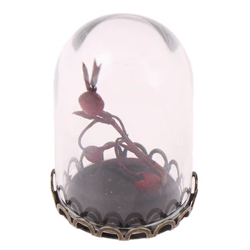 Cupolă de sticlă de Afișare Lemn de Plută Clopot de sticlă Acoperi Cloche Display Cu Baza din Lemn Inaltime 3cm Masă Decoation Ambarcațiuni