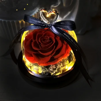 Noi Frumusețea și Fiara a Crescut În Cupolă de Sticlă Trandafiri Ziua Îndrăgostiților Cadou de Ziua de nastere Cadouri Pentru Prietena Flori Uscate LED Ornamente