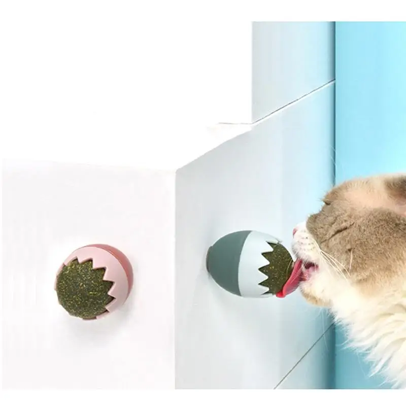 Pisică Jucărie Catnip Adeziv Coajă De Ou Pisoi Jucarie Pisica Jucarie Interactiva Musca Rezistent La Pisoi Dentitie Jucarie Pisica Artefact Consumabile Pentru Animale De Companie